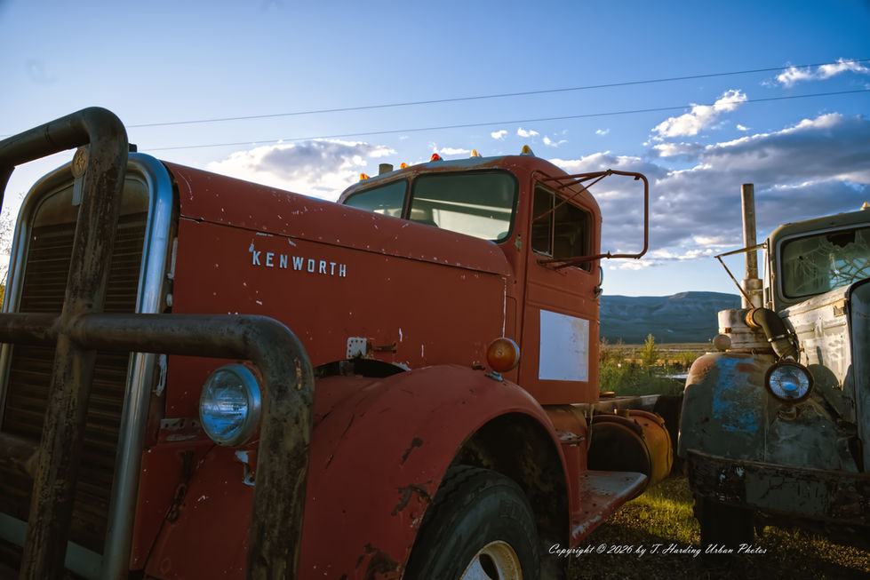 _DSC1403