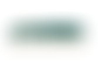 Pleasanton Regulations