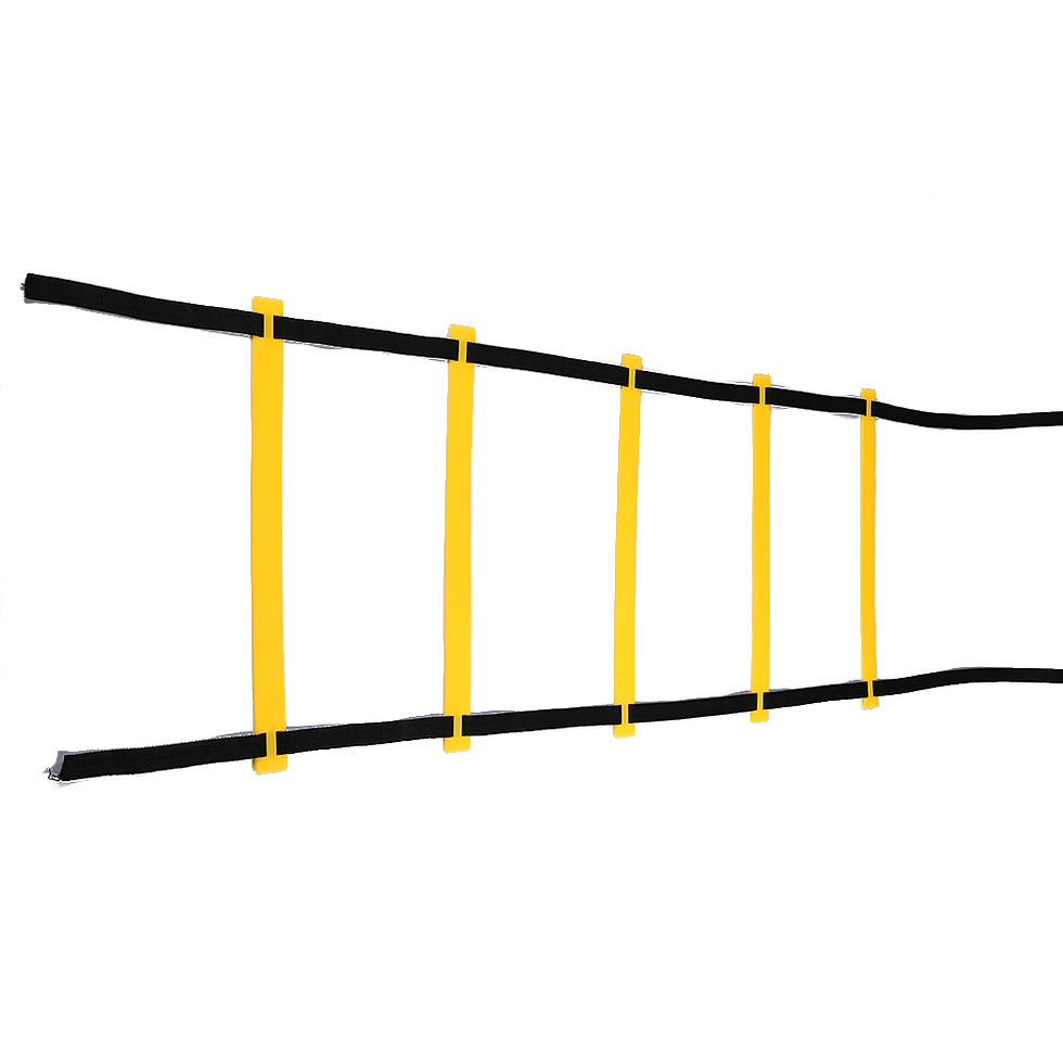 Foldable 5-Rung Agility Ladder