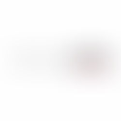 SoftwareONE Holding AG (SWONF)