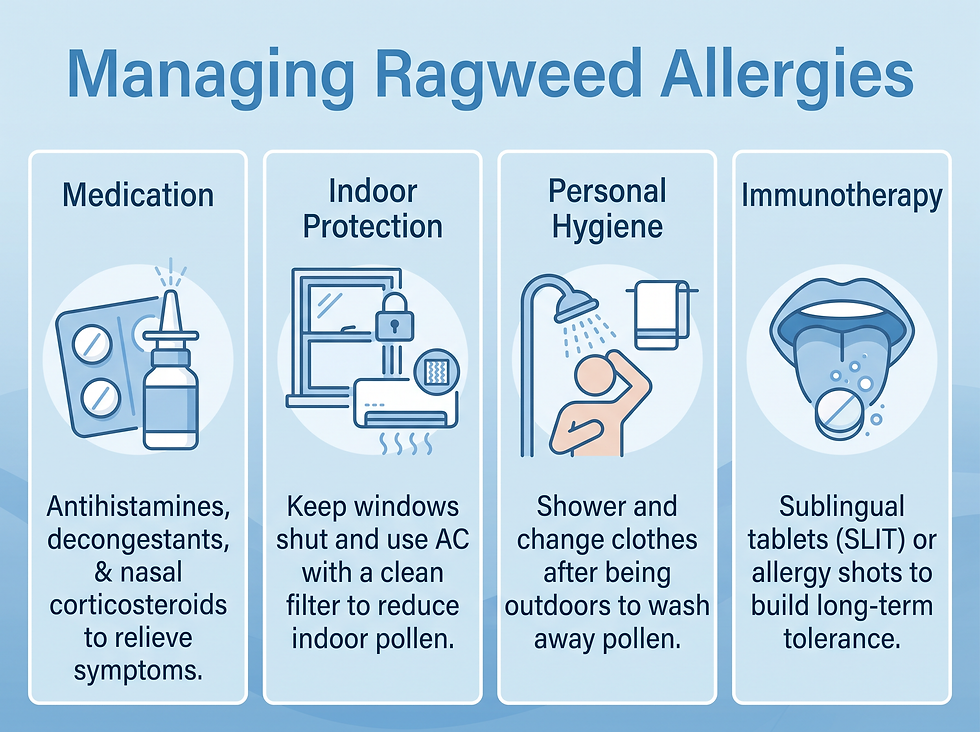 Guide to managing ragweed allergy with medication, immunotherapy, and lifestyle changes
