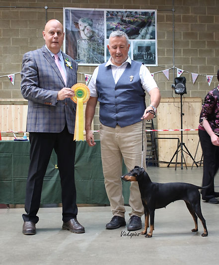 Champion & Vul Stakes 2022.jpg