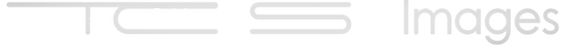 TCS new_edited.png