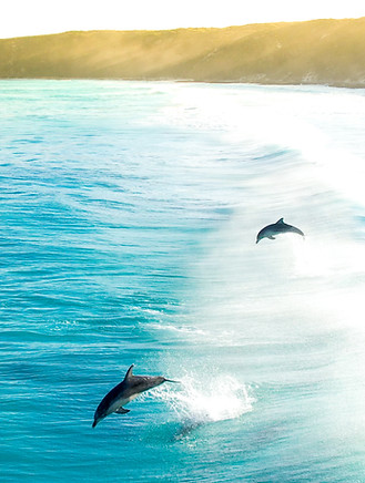 Esperance Coastal Tours-8.jpg