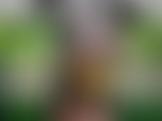 10 excelentes películas de terror de los últimos 5 años