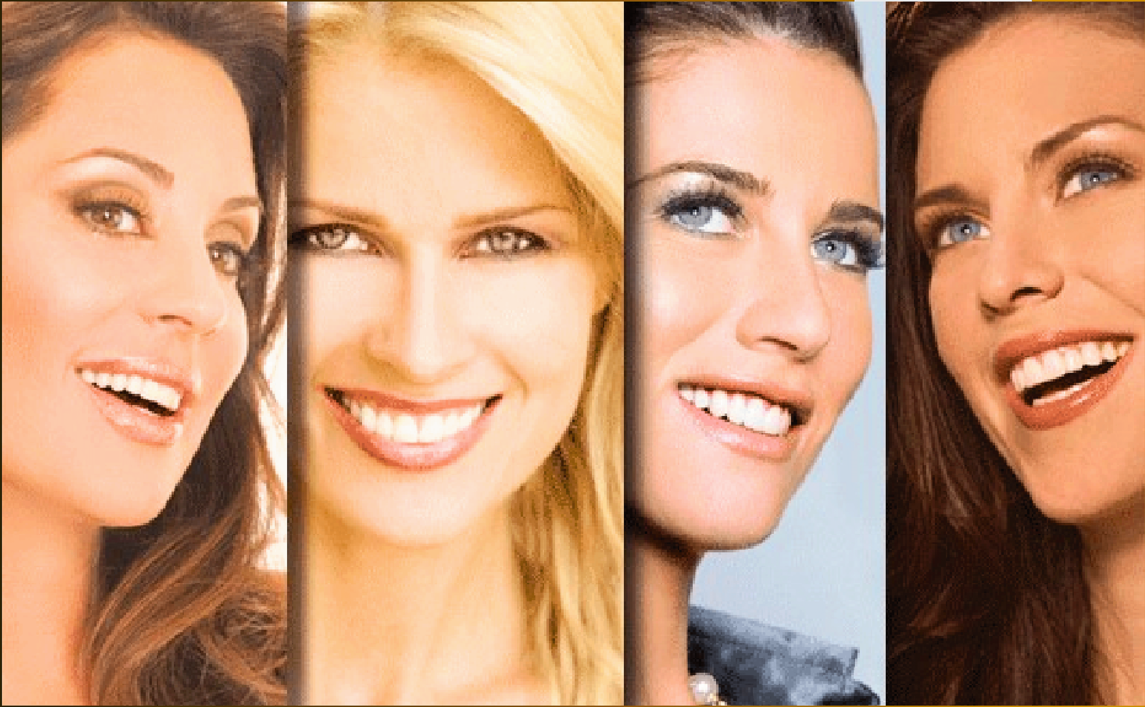Delegate SMILE four.gif