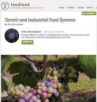 Terroir and Industrial food systems.