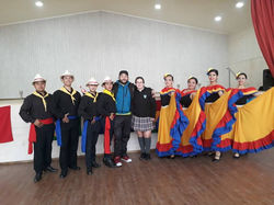 Danzas Hullimapu
