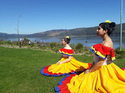 41442497_2172182533026813_32067874455132