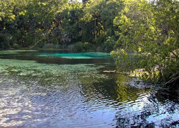 Ocala-National-Forest-Alexander-Springs-Sandra-Friend-USFS.jpg