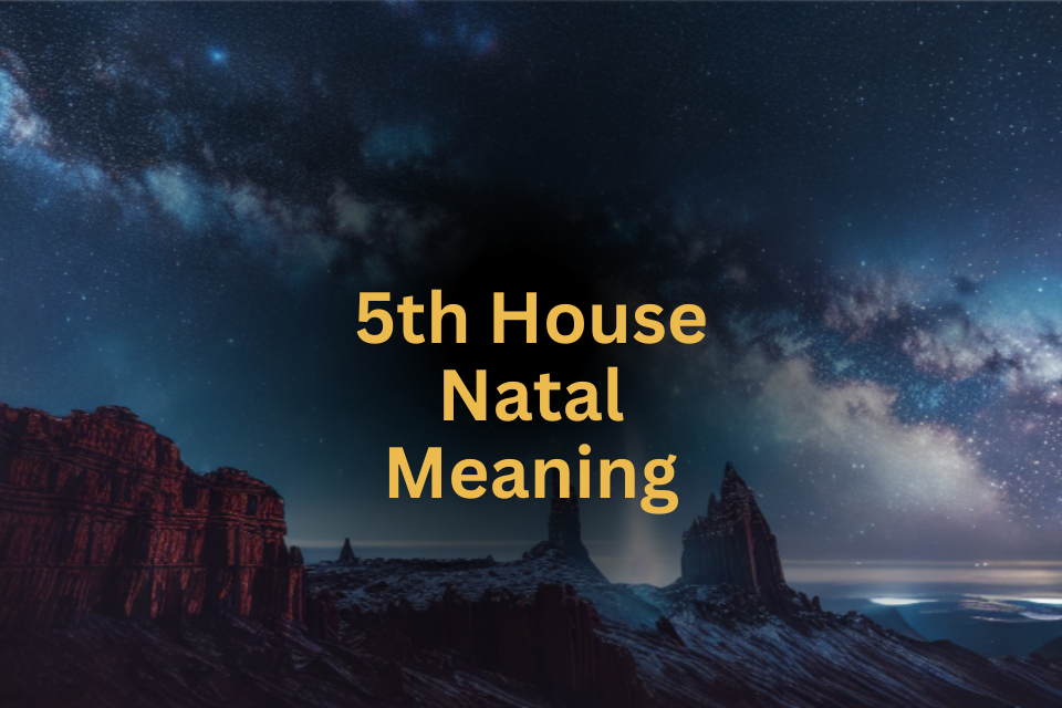 Venus in 5th House Natal Meaning