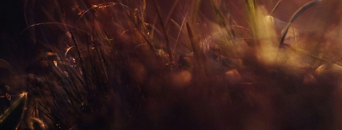 Screenshot 2026-03-24 at 10.26.53.png