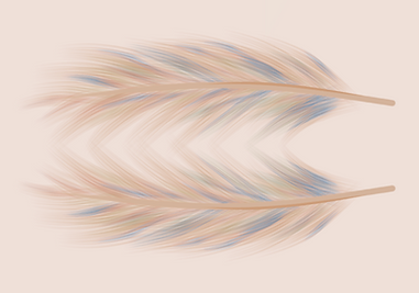 Screenshot 2026-01-14 at 12.12.01.png