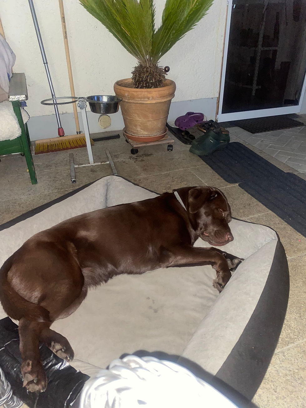 Ausruhen und Erholen