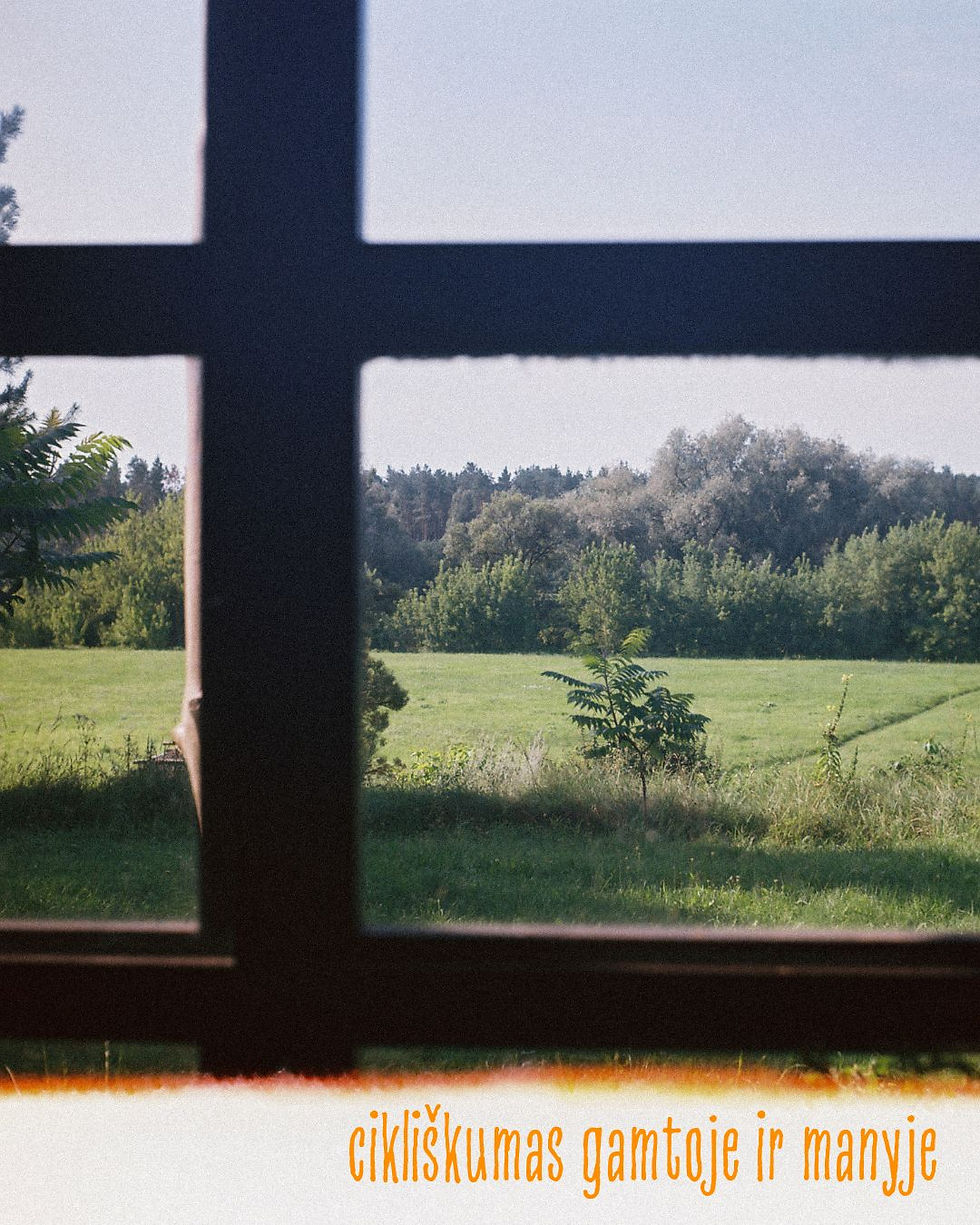 gyvenimas gamtoje arba gyvenimo pamokos : cikliškumas