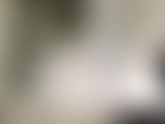 サロンにオススメの生花〜枝もの〜