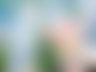 頼んでよかった！こんなに便利なお墓参り代行