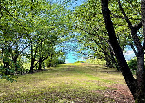 彦島南公園