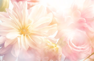 小AdobeStock_105654529.jpg