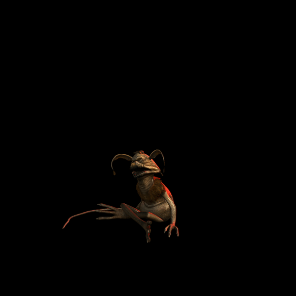 ezgif.com-gif-maker (14).gif