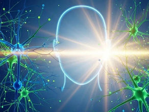 Da investigação experimental sobre o sistema límbico à neuroplasticidade: uma reflexão sobre a evolução do conhecimento científico