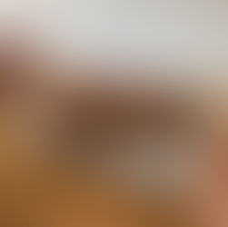 Walking, cake, schnitzels, repeat - exploring Budapest and Vienna