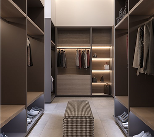 Modern Closet design 1