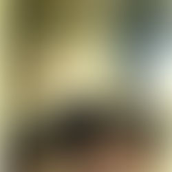 Oh Nice Penthouse. You Just Moved to Mexico for the Cost of Living!!!