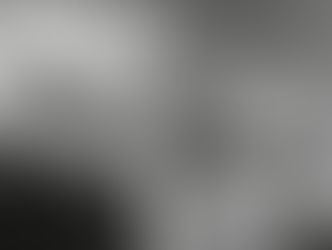 Raoul Hausmann, une oeuvre assagie