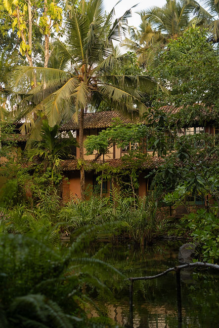SriLanka_Sama_Santani2023_NateleeCocks_058.JPG