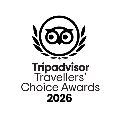 Travellers-Choice-2026-Animated-Owl-Logo.gif
