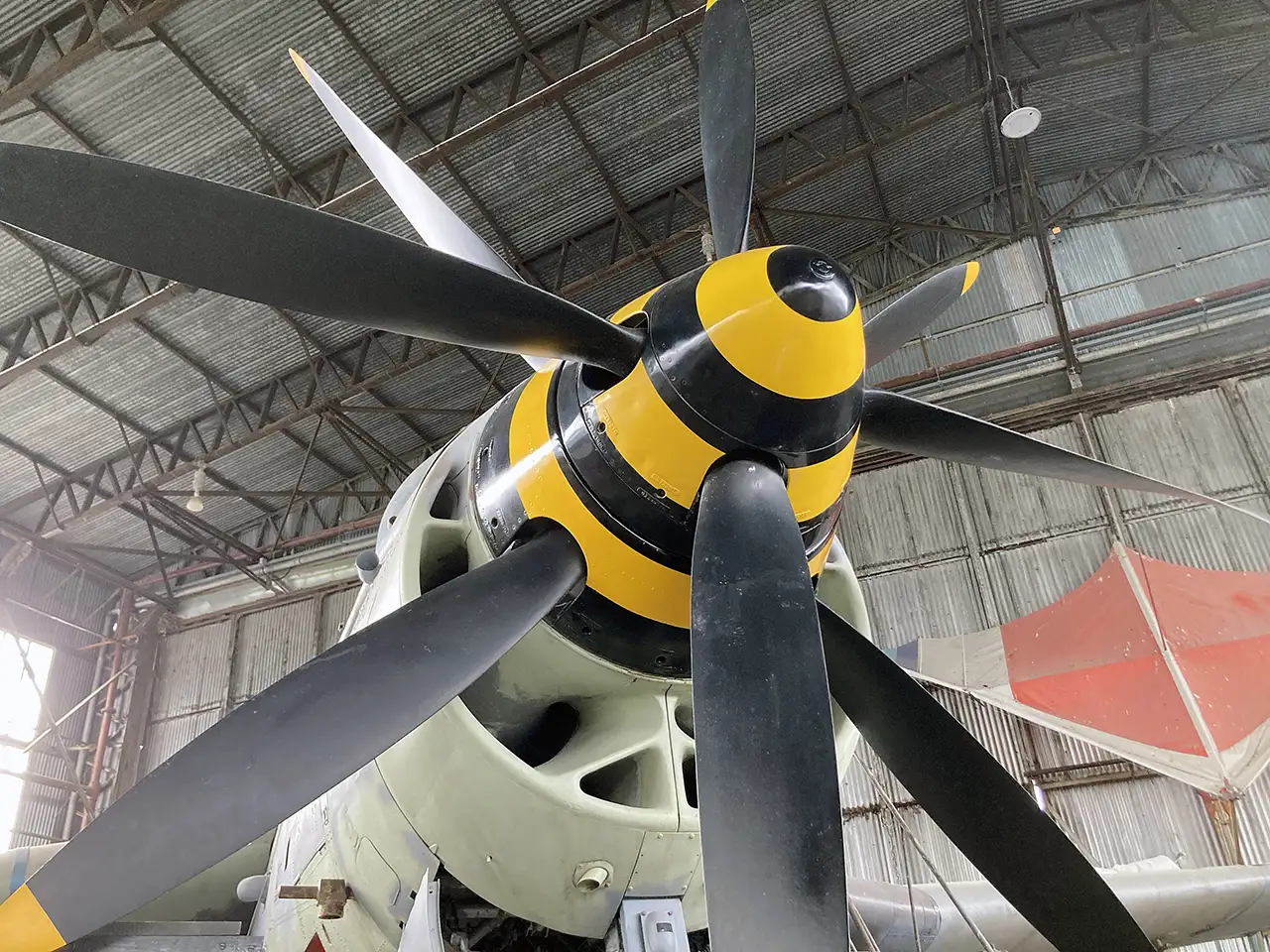 Fairey Gannet XA460 Twin Propellors at the Ulster Aviation Society