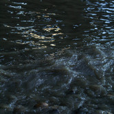 IMG_4114.jpeg