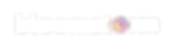 BLOOMSTORM LOGO(T).png