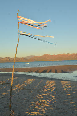 isla tiburon preparando ceremonia (4)