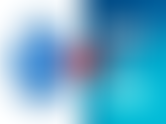 SWISS RIBBONS PVT. LTD. V. UNION OF INDIA