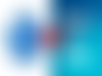 SWISS RIBBONS PVT. LTD. V. UNION OF INDIA