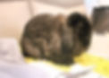 20211207_094015_edited.jpg