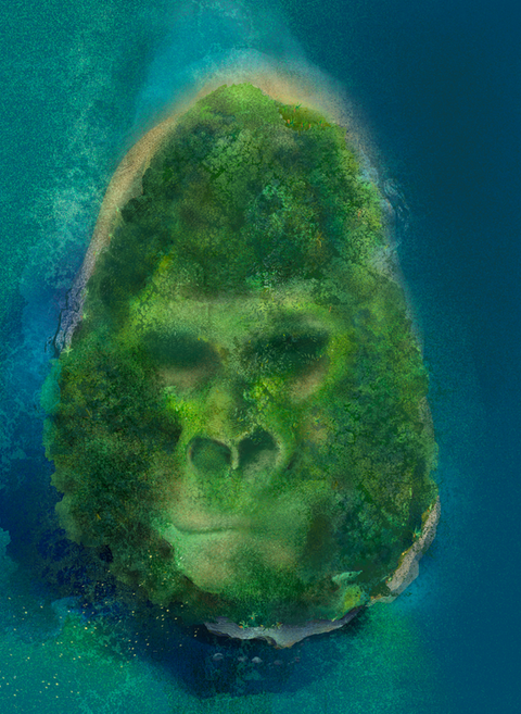 gorilla, great-apes, habitat, nature, ecology, Gabon
