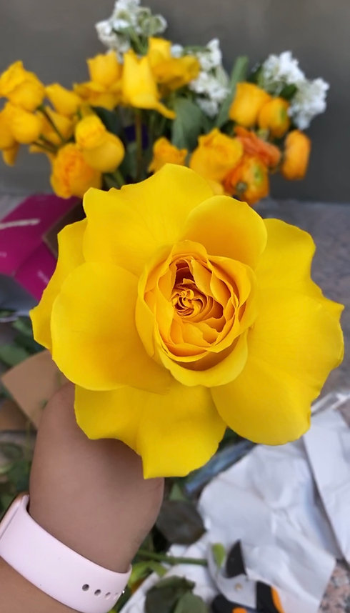 IMG_3682.JPEG