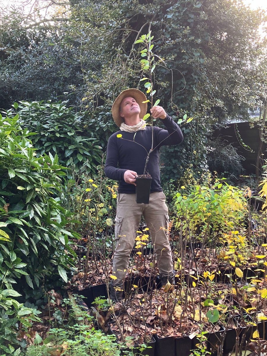 Training Syntropische Landbouw in Frankrijk