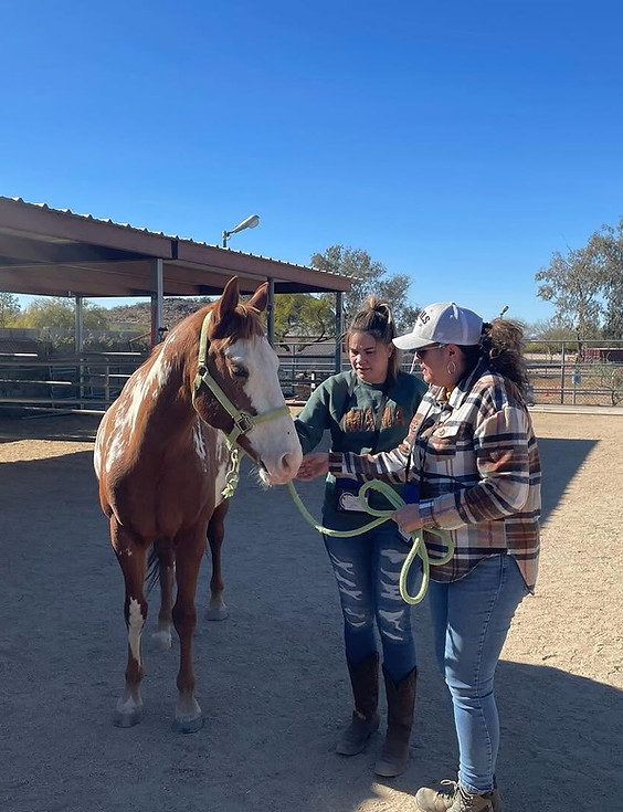 Two West Valley Women Veterans members interacting with a horse during an outdoor equine experience.