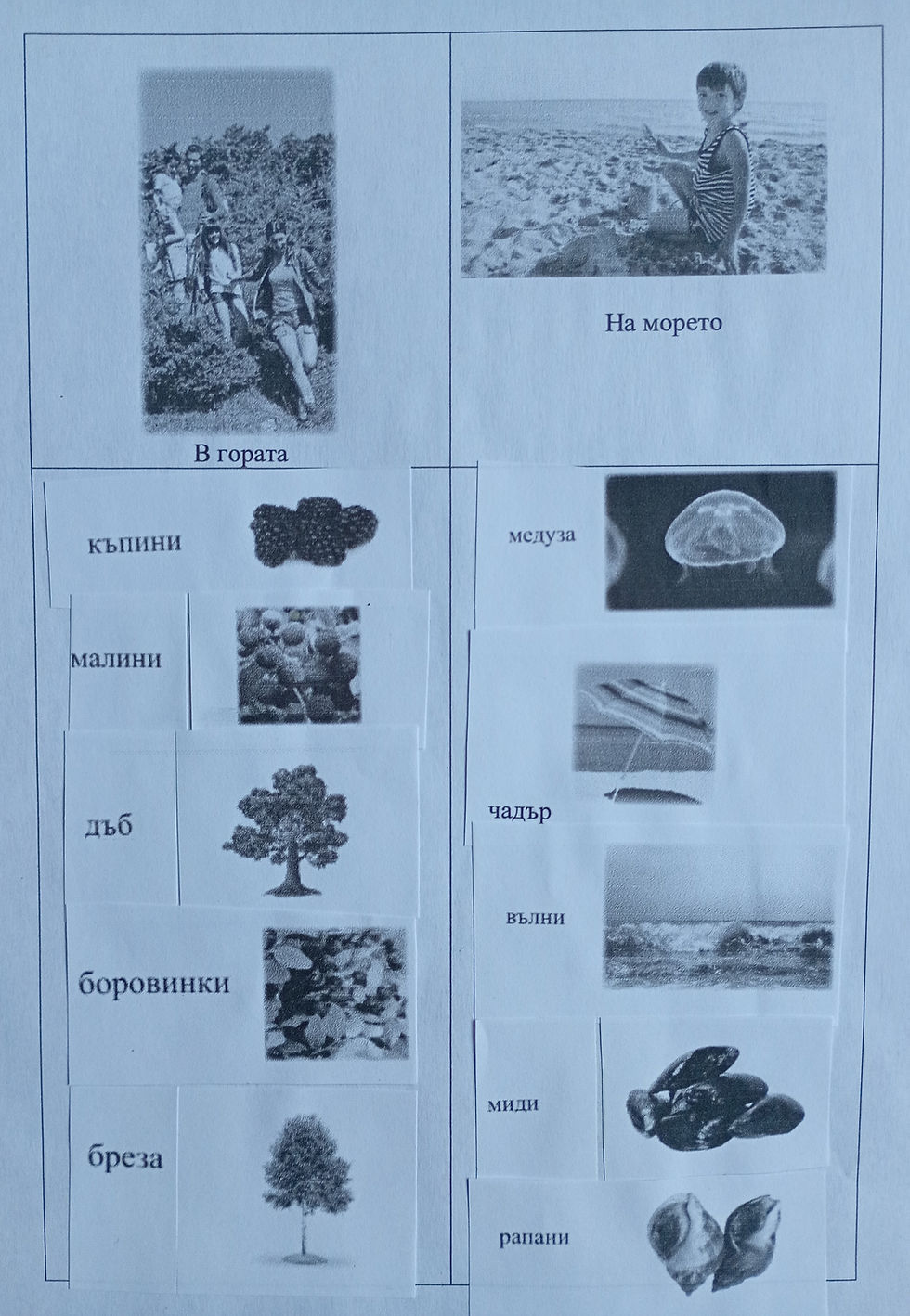Групиране на растения, животни и предмети според мястото, на което могат да се видят (Човек и природа)