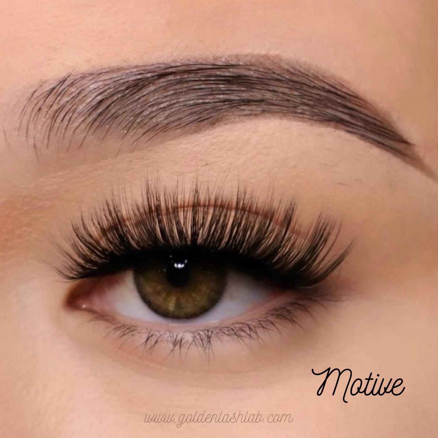 Motive Lash