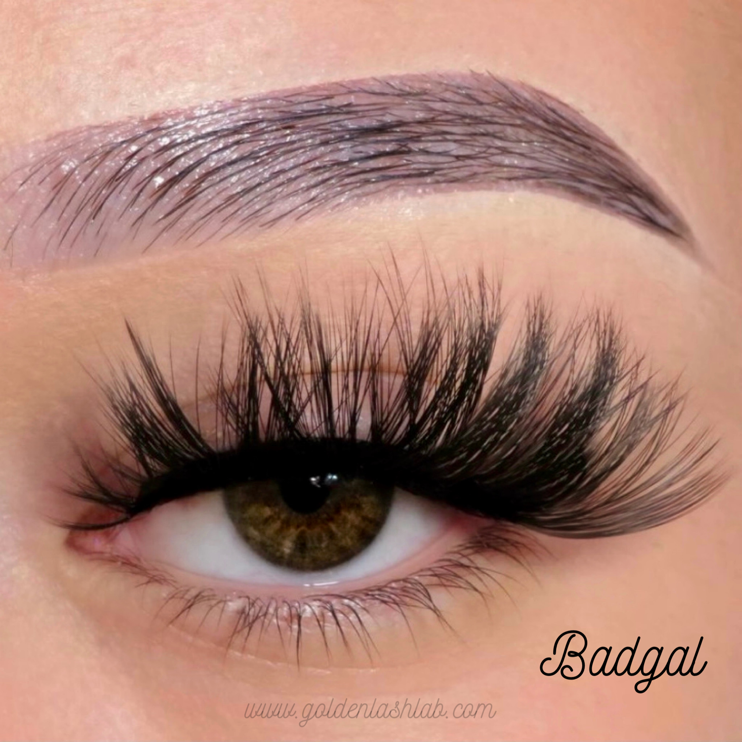 Badgal Lash
