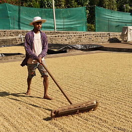 Food and Sustainability