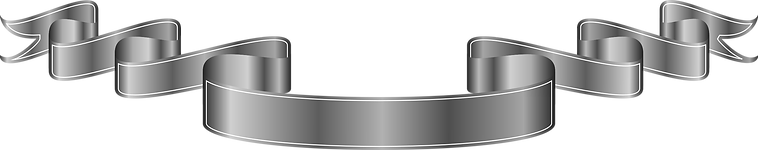 silver_PNG17133.png
