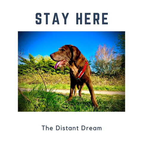 Stay Here The Distant Dream.JPG