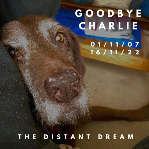 GoodBye Charlie.jpg