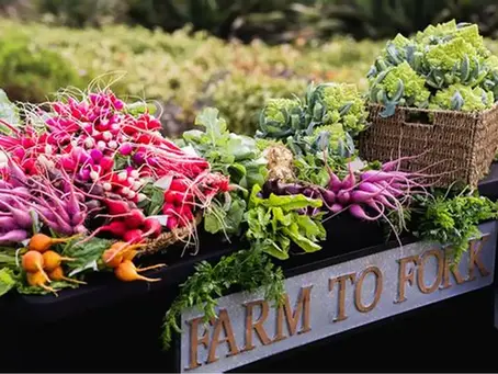 From Policy to Plate: Making Food Systems Work